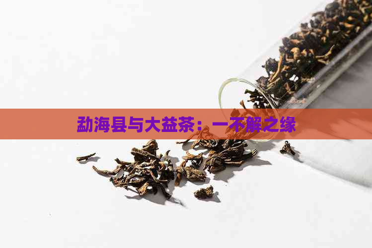 勐海县与大益茶：一不解之缘