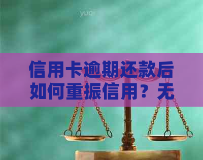 信用卡逾期还款后如何重振信用？无法借款的解决策略和建议