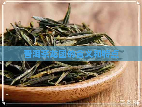 普洱茶龙团的含义和特点