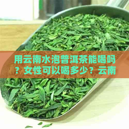 用云南水泡普洱茶能喝吗？女性可以喝多少？云南普洱茶泡茶步骤及适宜人群