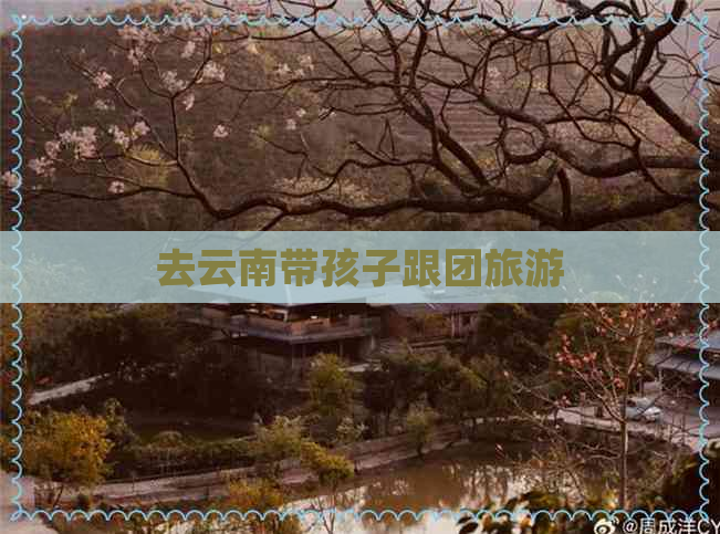 去云南带孩子跟团旅游