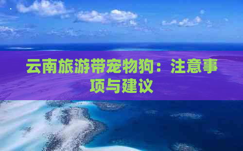 云南旅游带宠物狗：注意事项与建议