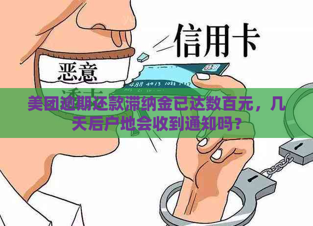 美团逾期还款滞纳金已达数百元，几天后户地会收到通知吗？