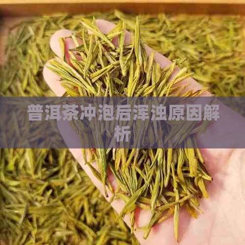 普洱茶冲泡后浑浊原因解析