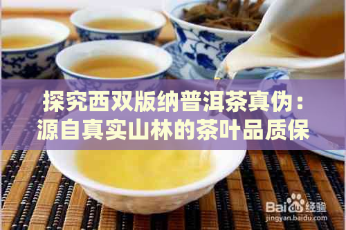 探究西双版纳普洱茶真伪：源自真实山林的茶叶品质保证