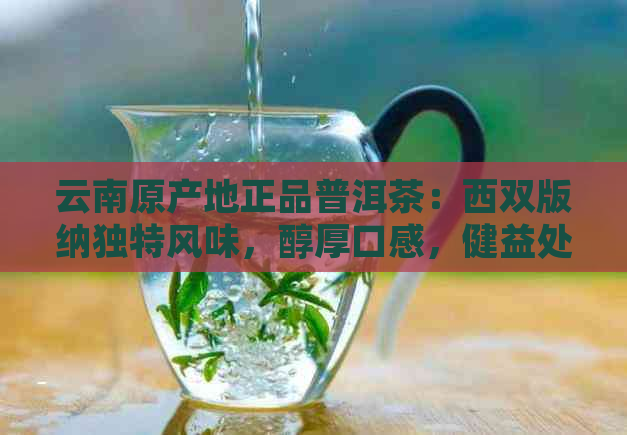 云南原产地正品普洱茶：西双版纳独特风味，醇厚口感，健益处一览无遗