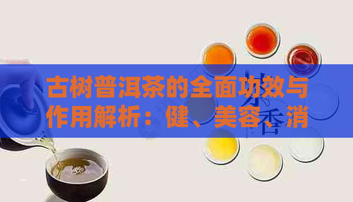 古树普洱茶的全面功效与作用解析：健、美容、消食等多方面效益