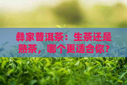 彝家普洱茶：生茶还是熟茶，哪个更适合你？