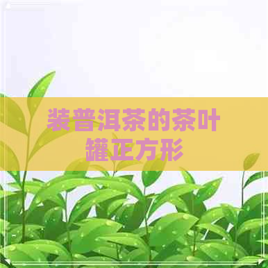 装普洱茶的茶叶罐正方形