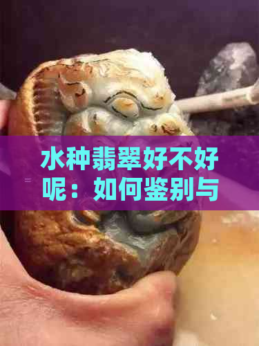 水种翡翠好不好呢：如何鉴别与鉴赏？