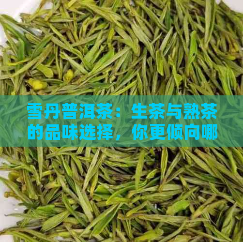 雪丹普洱茶：生茶与熟茶的品味选择，你更倾向哪一种？