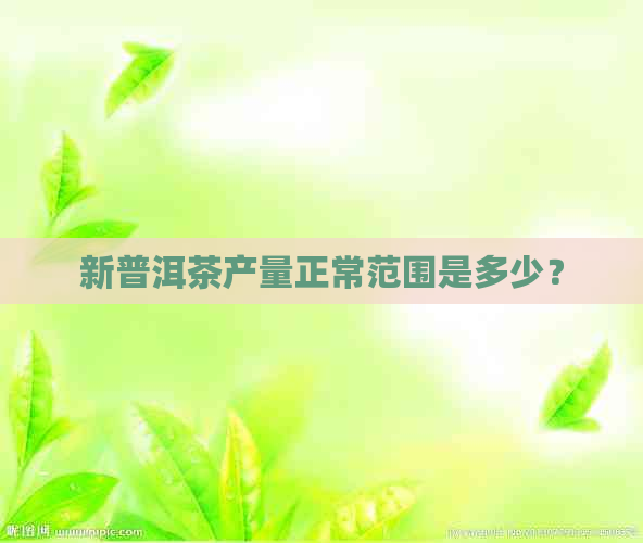 新普洱茶产量正常范围是多少？