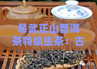 易武正山普洱茶特级生茶：古树之韵，醇厚口感，收藏佳品