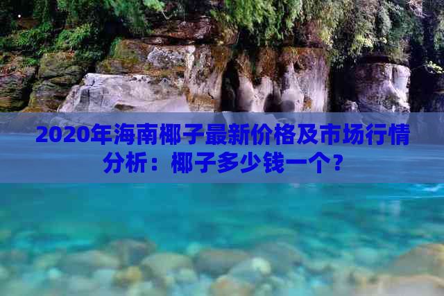 2020年海南椰子最新价格及市场行情分析：椰子多少钱一个？