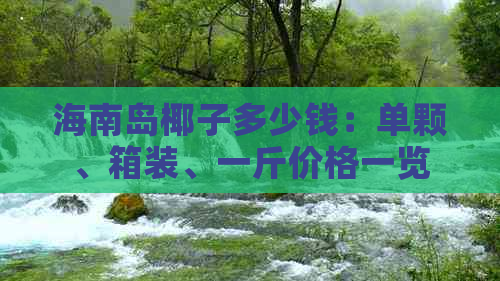 海南岛椰子多少钱：单颗、箱装、一斤价格一览