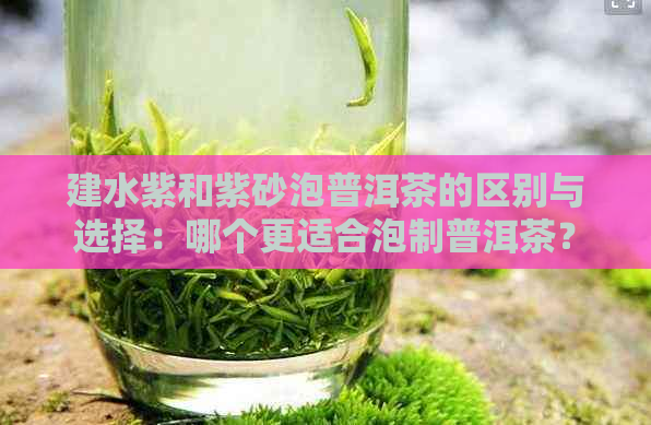 建水紫和紫砂泡普洱茶的区别与选择：哪个更适合泡制普洱茶？