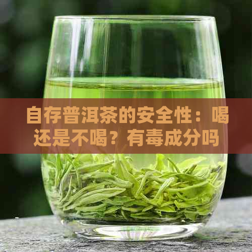 自存普洱茶的安全性：喝还是不喝？有成分吗？如何正确保存以确保品质？