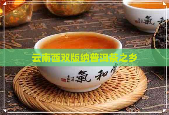 云南西双版纳普洱茶之乡