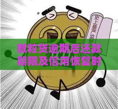 微粒贷逾期后还款期限及信用恢复时间全面解析，助您解决逾期还款疑虑