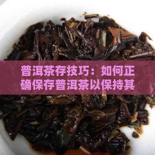 普洱茶存技巧：如何正确保存普洱茶以保持其品质和口感