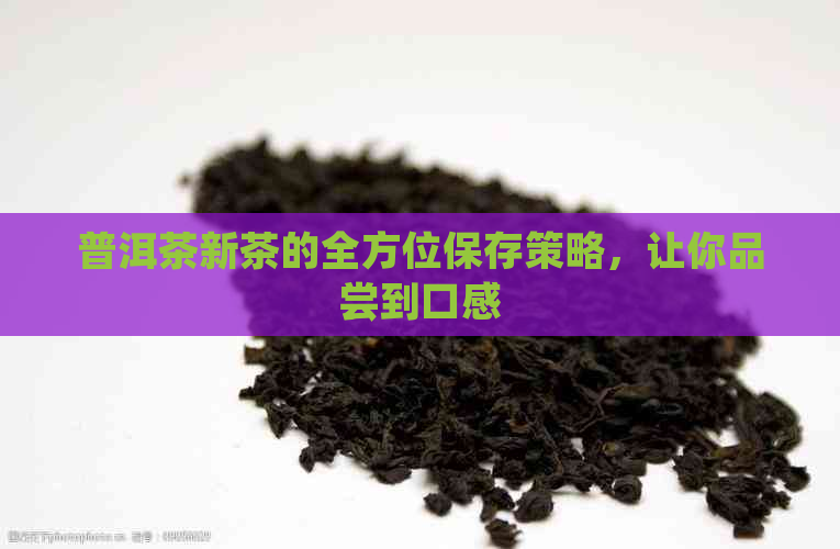 普洱茶新茶的全方位保存策略，让你品尝到口感