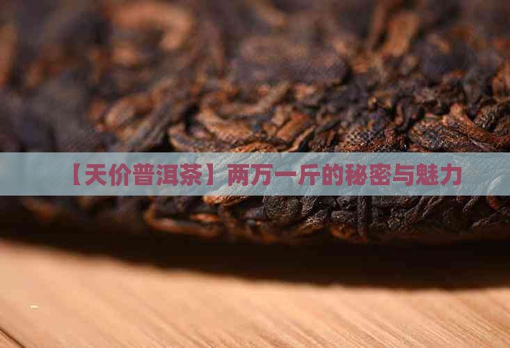 【天价普洱茶】两万一斤的秘密与魅力