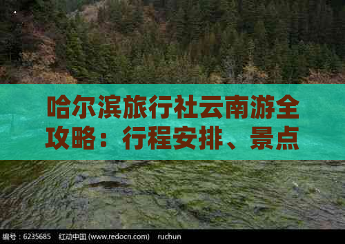 哈尔滨旅行社云南游全攻略：行程安排、景点推荐、交通住宿一应俱全