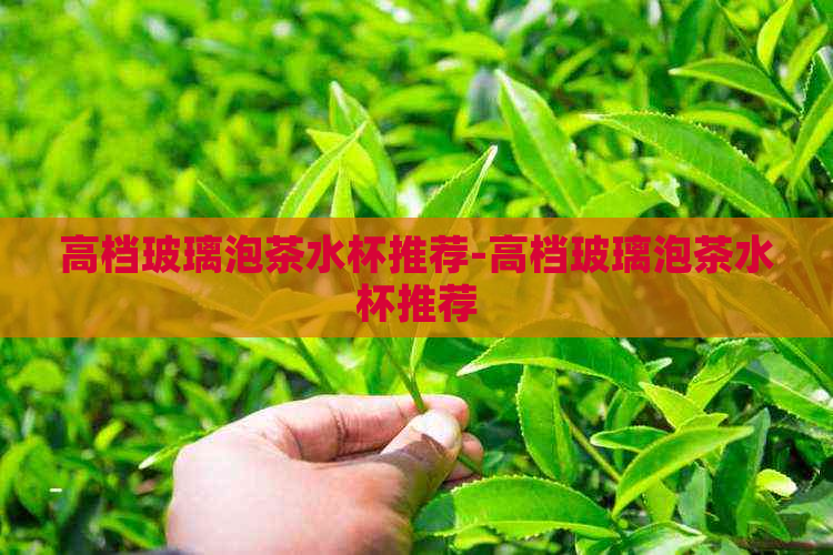 高档玻璃泡茶水杯推荐-高档玻璃泡茶水杯推荐