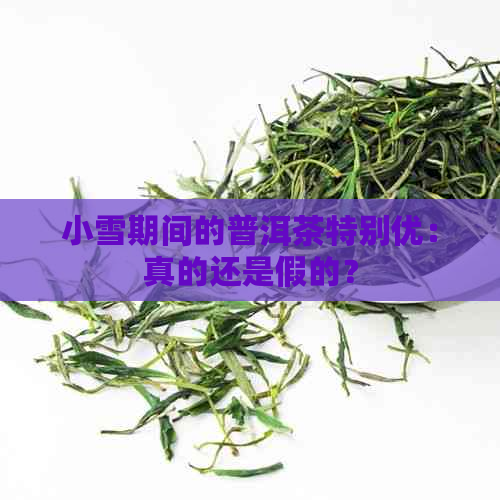 小雪期间的普洱茶特别优：真的还是假的？