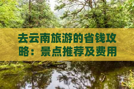 去云南旅游的省钱攻略：景点推荐及费用分析