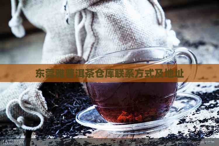 东莞雅普洱茶仓库联系方式及地址