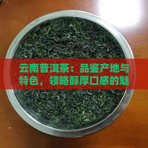 云南普洱茶：品鉴产地与特色，领略醇厚口感的魅力之地