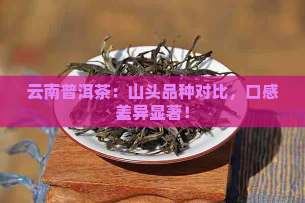 云南普洱茶：山头品种对比，口感差异显著！