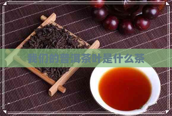 我们的普洱茶叶是什么茶