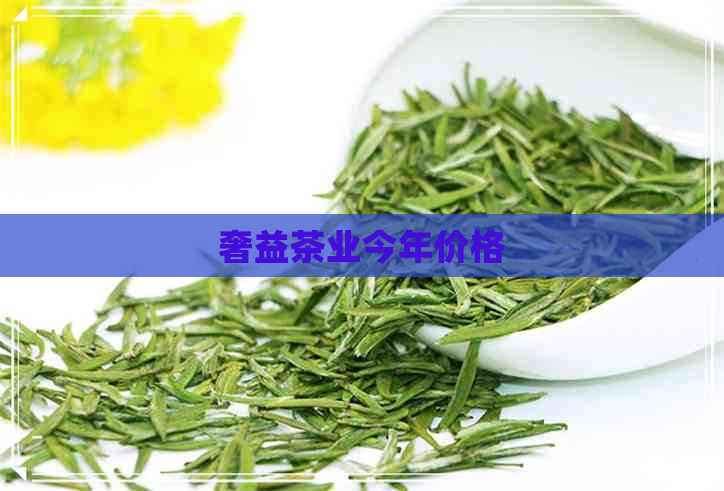 奢益茶业今年价格