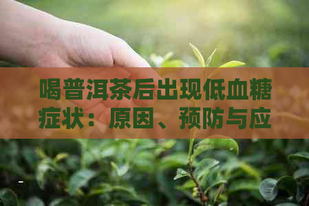 喝普洱茶后出现低血糖症状：原因、预防与应对策略