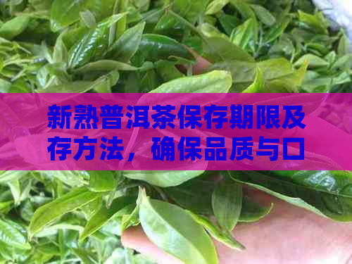 新熟普洱茶保存期限及存方法，确保品质与口感的持久影响