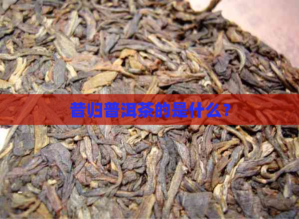 昔归普洱茶的是什么？