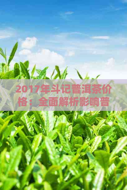 2017年斗记普洱茶价格：全面解析影响普洱茶价因素，深入了解市场行情