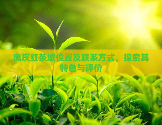 凤庆红茶城位置及联系方式，探索其特色与评价