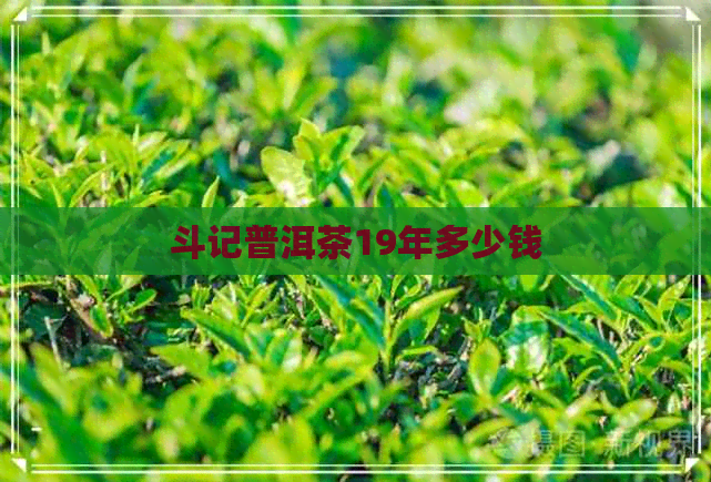 斗记普洱茶19年多少钱