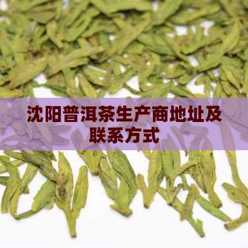 沈阳普洱茶生产商地址及联系方式