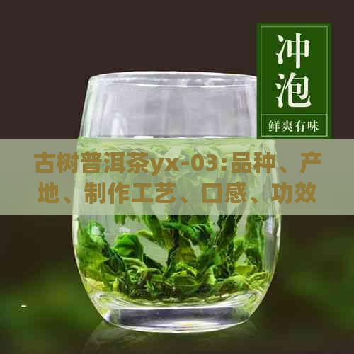 古树普洱茶yx-03:品种、产地、制作工艺、口感、功效与品鉴方法的全面解析