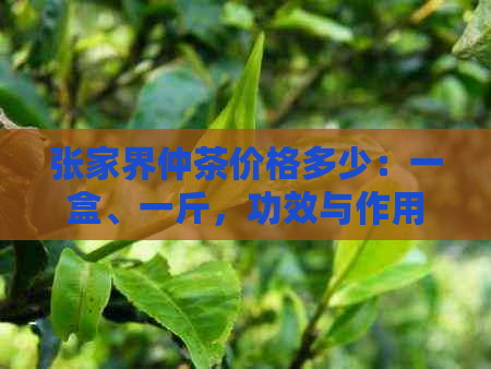 张家界仲茶价格多少：一盒、一斤，功效与作用，来自张家界的仲茶