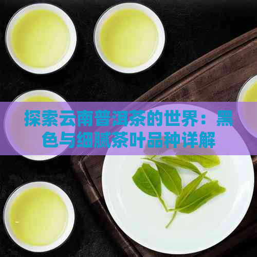 探索云南普洱茶的世界：黑色与细腻茶叶品种详解