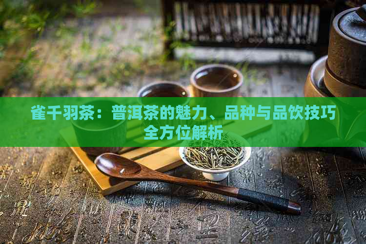 雀千羽茶：普洱茶的魅力、品种与品饮技巧全方位解析