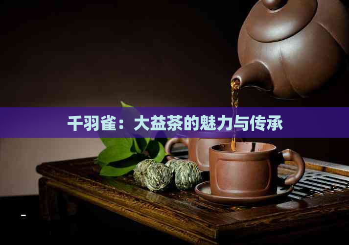 千羽雀：大益茶的魅力与传承