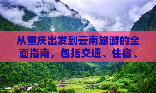 从重庆出发到云南旅游的全面指南，包括交通、住宿、景点和美食等攻略