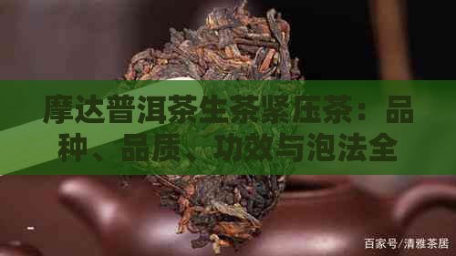 摩达普洱茶生茶紧压茶：品种、品质、功效与泡法全方位解析