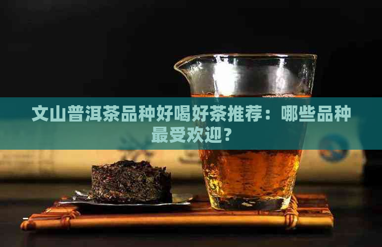 文山普洱茶品种好喝好茶推荐：哪些品种更受欢迎？